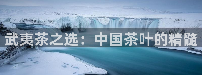 龙八国际娱乐pt老虎机