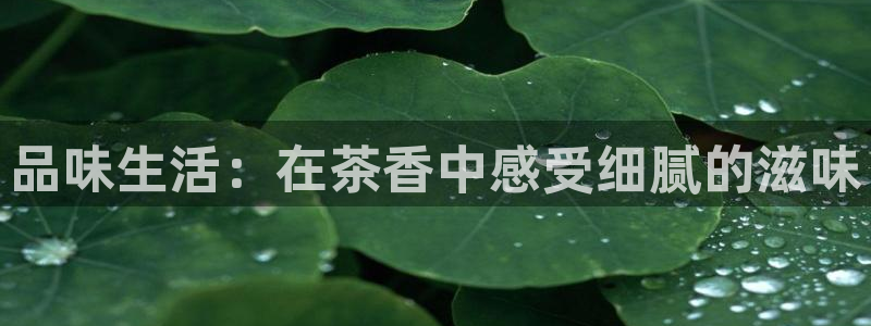 龙八国际官网苹果