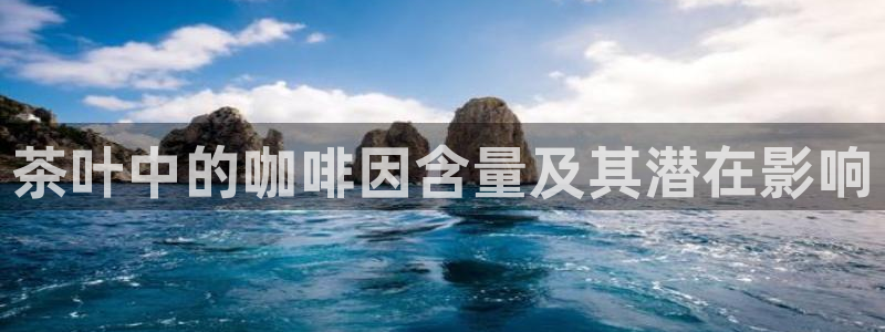龙八国际手机版首页