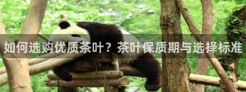 龙八国际首页