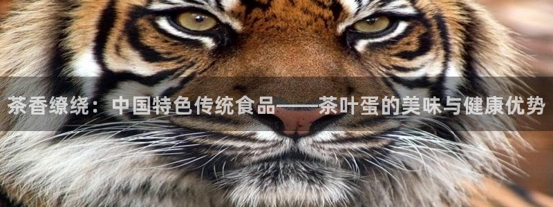 龙八国际苹果版