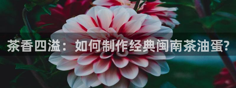头号玩家龙八国际网址
