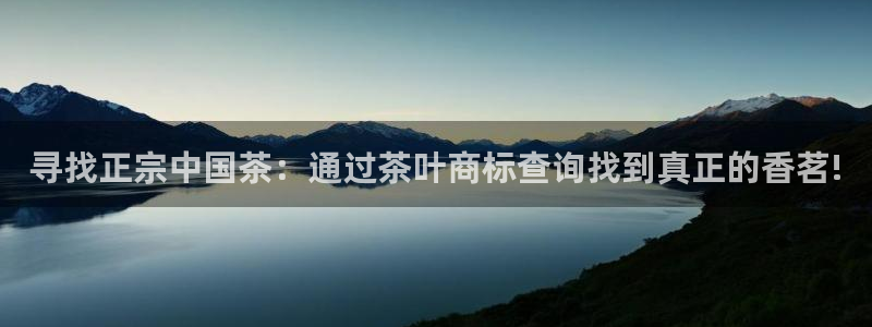 龙八国际城