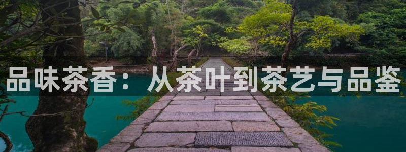 龙八国际网址f68点top
