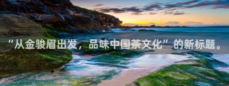 龙八国际不可思议的气球