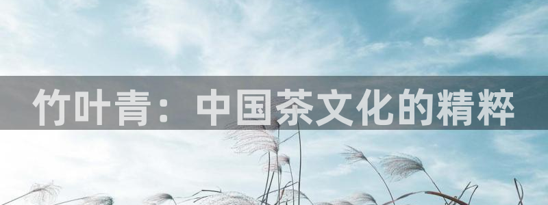 龙八国际手机版登录