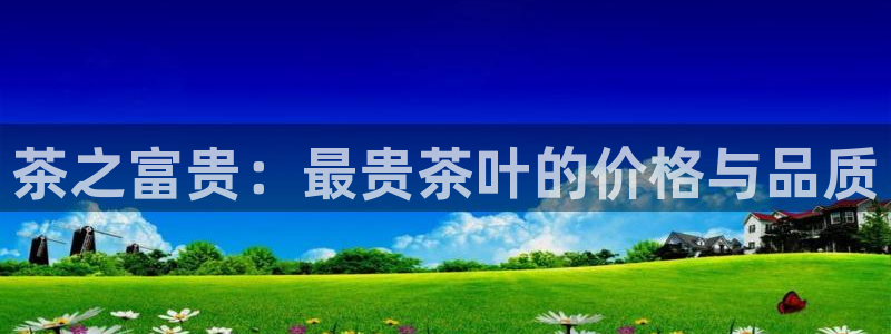龙八国际pt娱乐