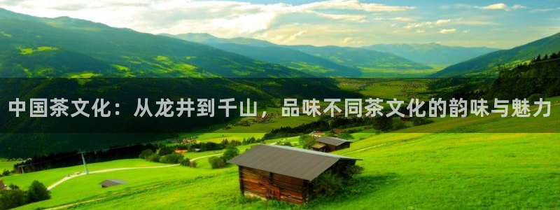 龙八国际app官网