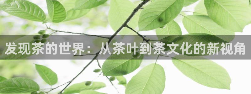 龙八国际网址f68点top