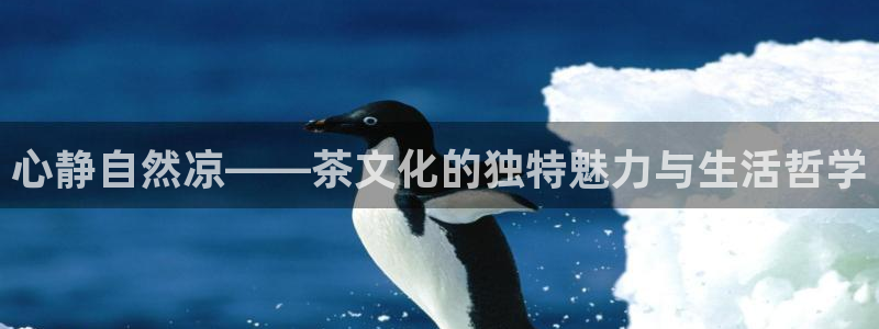 龙八国际城网站