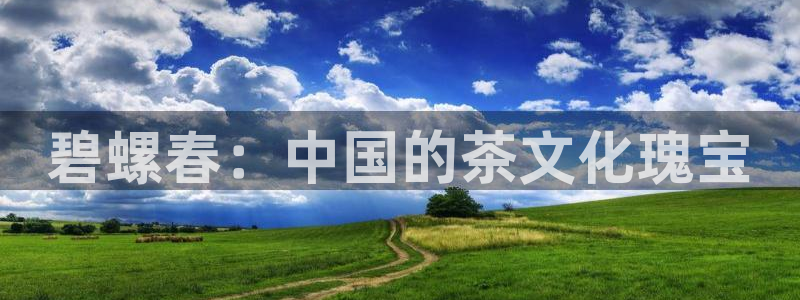 龙八国际网b48点tv