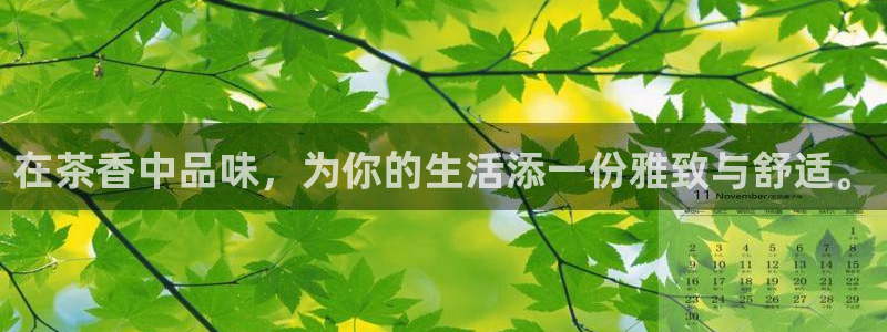 菲律宾的龙八国际输钱
