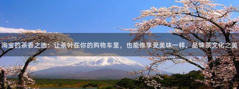 龙八国际菲律宾官网