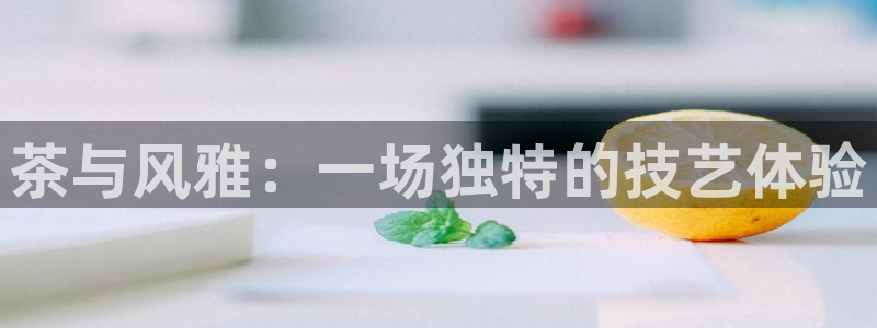 龙八国际官方旗舰店