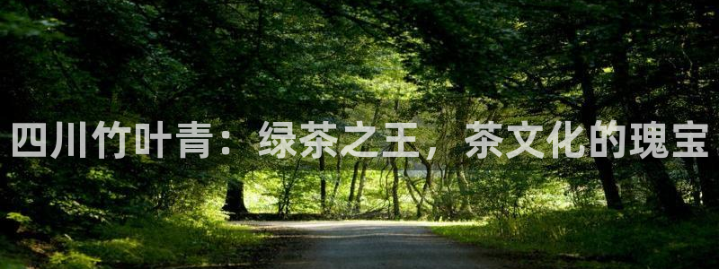 龙八国际网页long8868