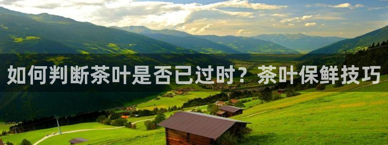 龙八国际登录网站