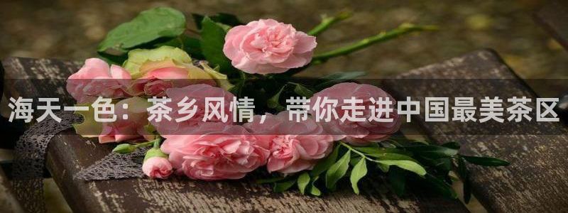 龙八国际娱乐App客户端下载