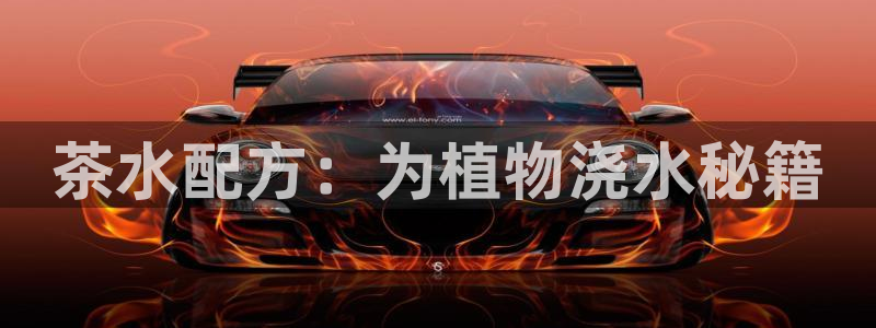 龙八国际娱乐场