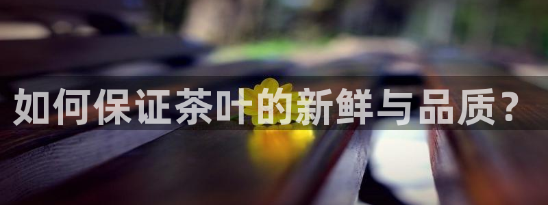 下载龙八国际游戏