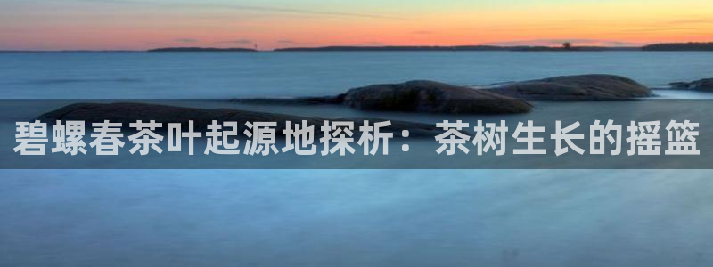 龙八国际app客户端下载不了