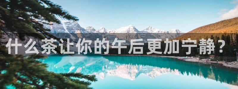 龙八国际平台安卓