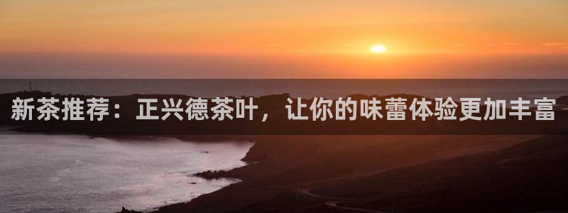 龙八国际视频入口