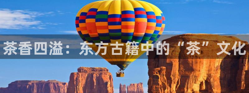 怎么举报龙八国际