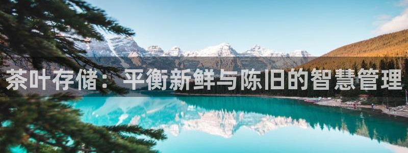 龙八国际pt客户端下载