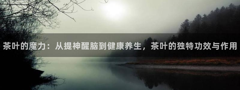 龙八国际客服