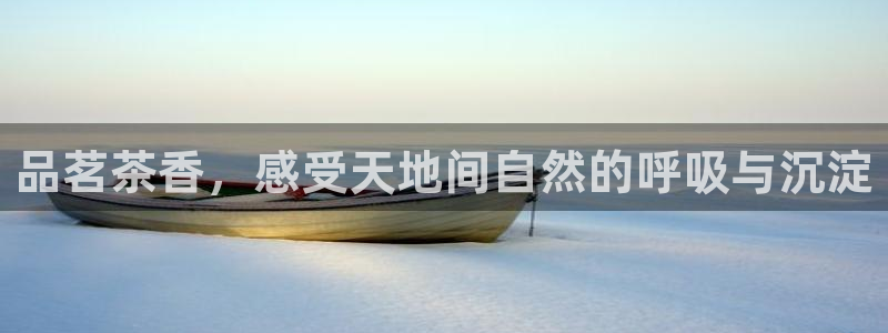 菲律宾龙八国际