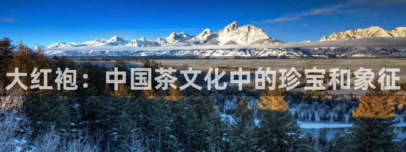 龙八国际APP官方版