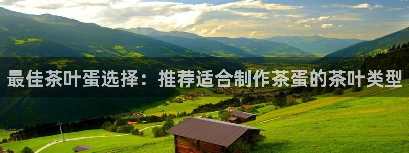 龙八国际官网