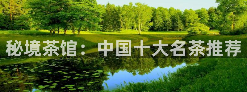 龙八国际有限责任公司