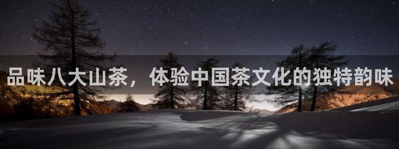 国际龙八国集团