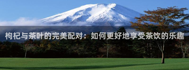 龙八国际头号玩家