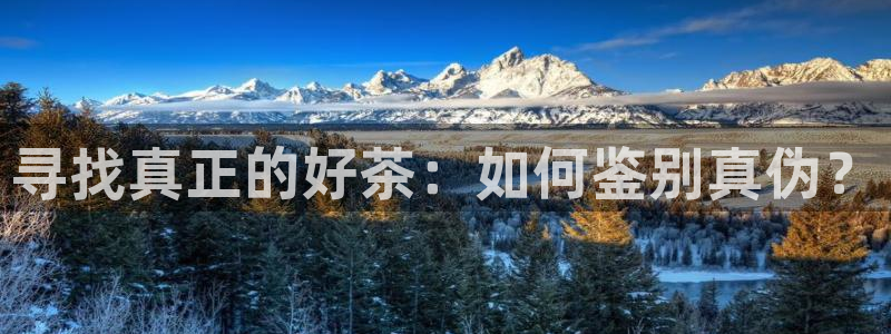龙八国际app官网