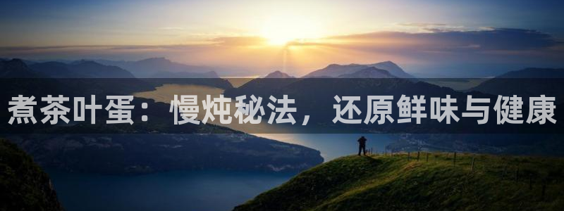龙八国际
