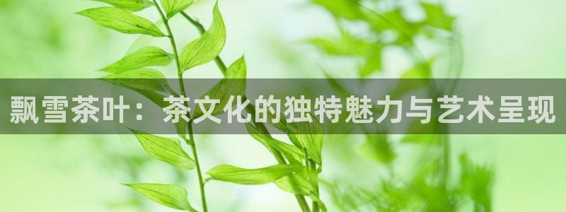 龙八国际娱乐网页多少