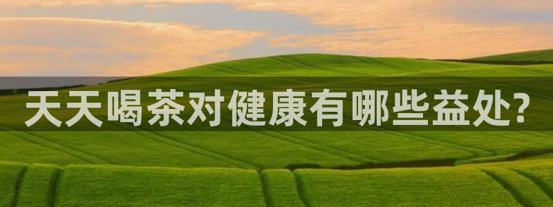 龙八国际app官方下载手机端