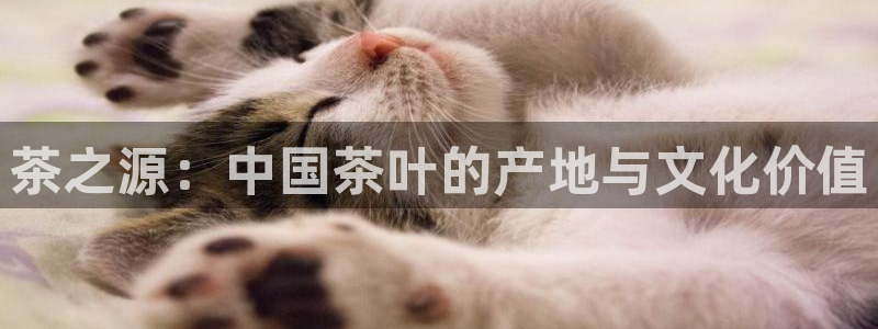 龙八国际app电话