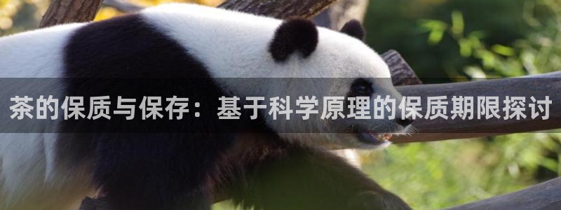 龙八国际娱乐app