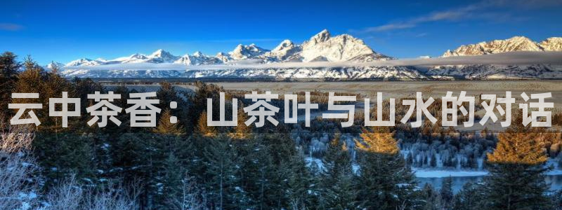 龙八国际p