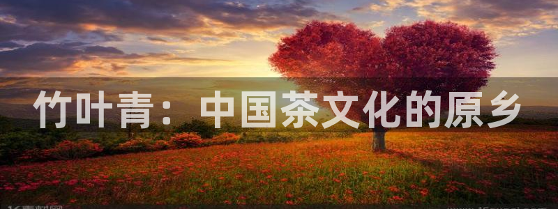 龙八国际官方旗舰店