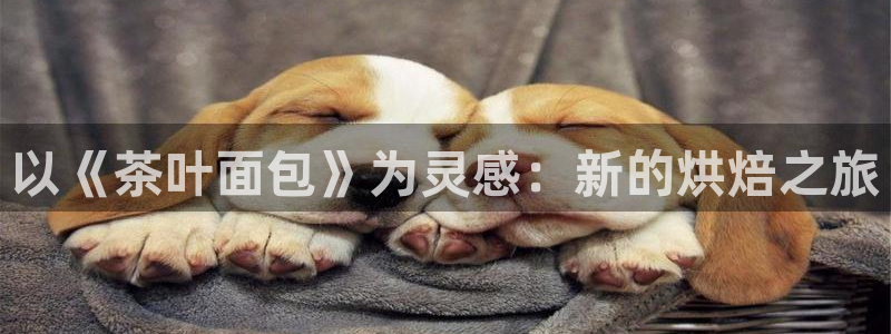 龙八国际娱手机