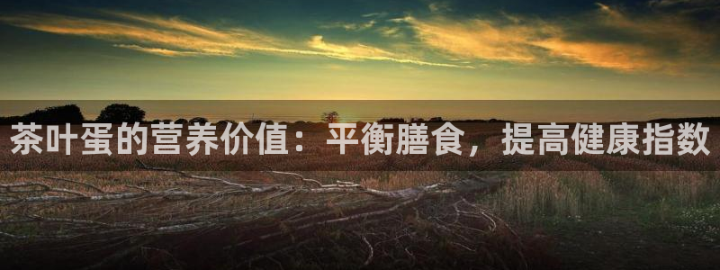 龙八国际头号玩家