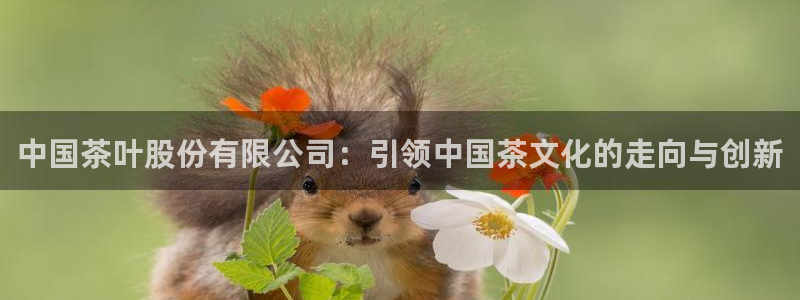 龙八国际游戏娱乐