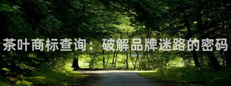龙八国际下载链接