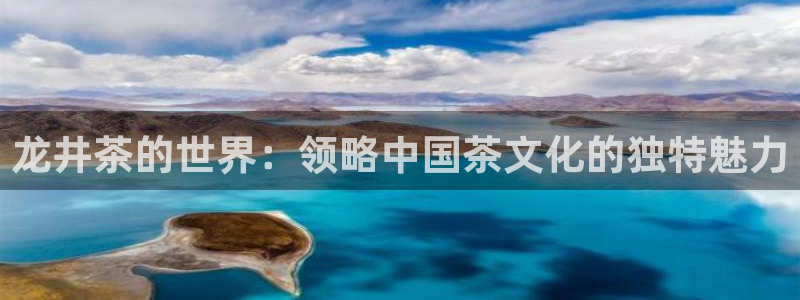 龙八国际网页版