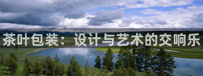 龙八国际是个什么游戏