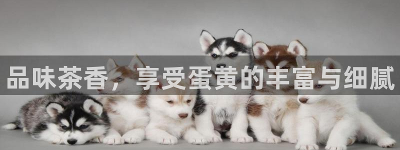 龙八国际游戏登录